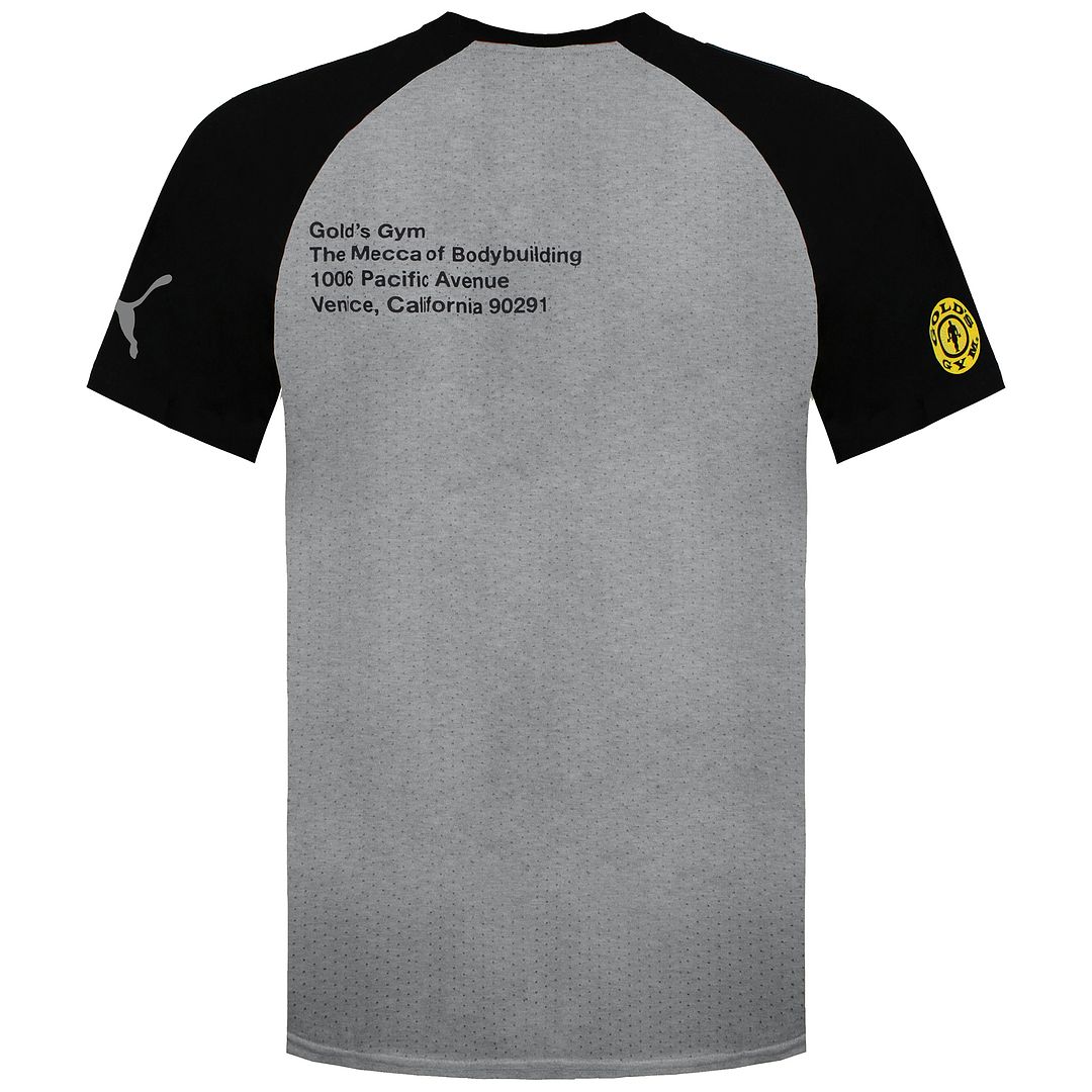 Puma x Gold's Gym Mens Grey Raglan T-Shirt