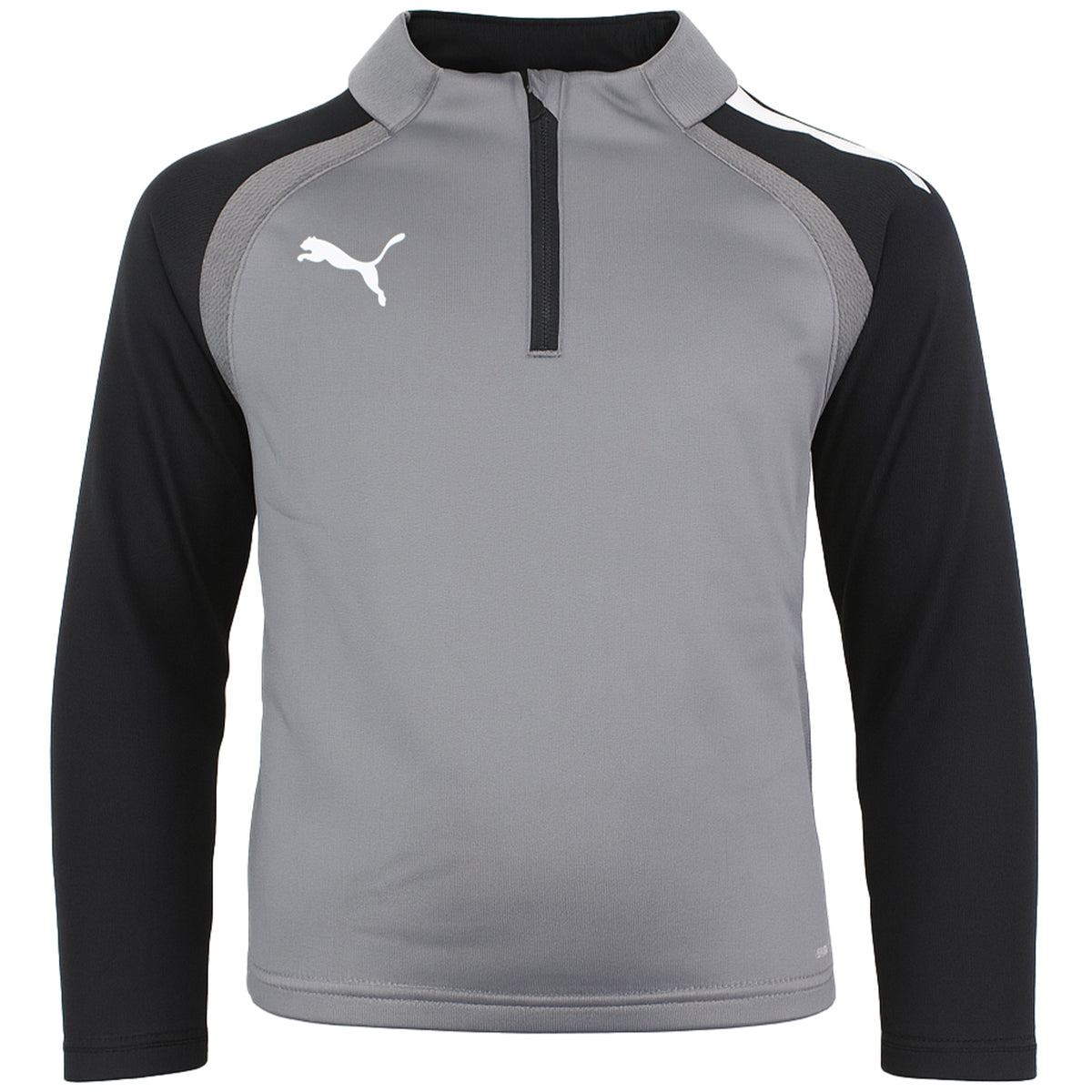Puma TeamLiga Kids Grey Football Top