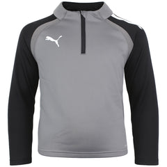Puma TeamLiga Kids Grey Football Top