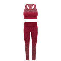 Gymshark Adapt Ombre Womens Set