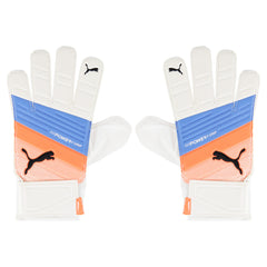 Puma Evo Power Grip 4 Grip Goalkeeper Gloves